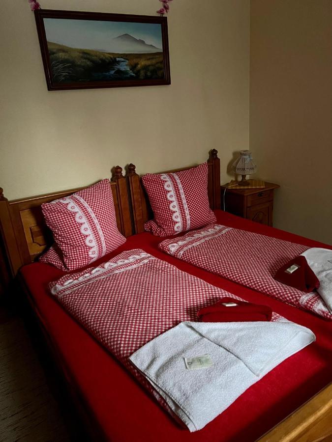 Hotel Na Vyhlidce Kořenov エクステリア 写真